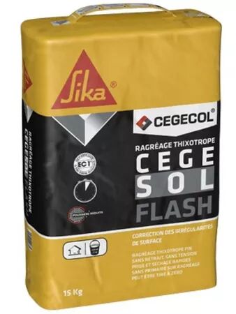 CEGESOL FLASH