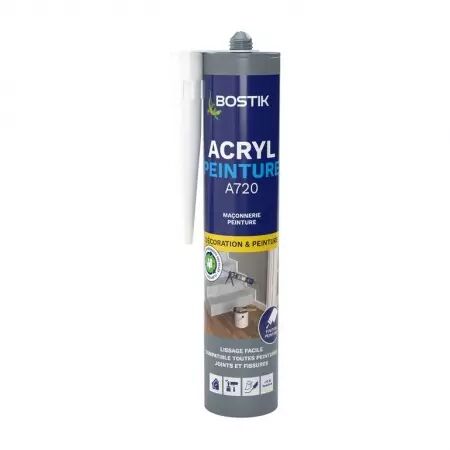 MASTIC ACRYL PEINTURE