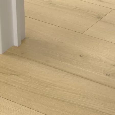 PROFIL INCIZO LVT 5EN1